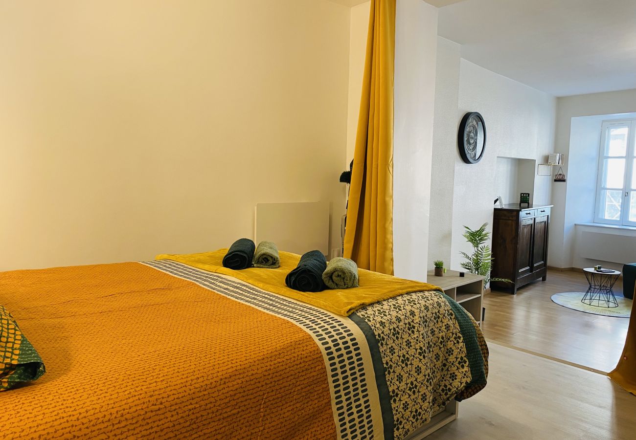 Apartment in Rodez - LE ST CYRICE