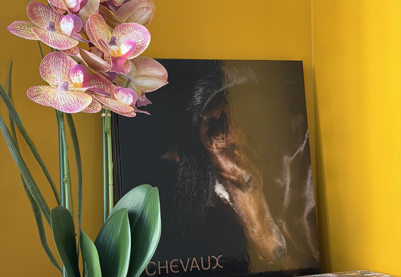 Apartment in Rodez - LA MADELEINE