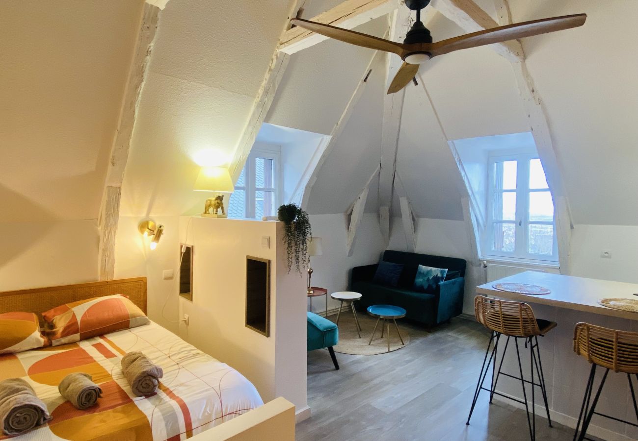 Apartment in Rodez - LE NID