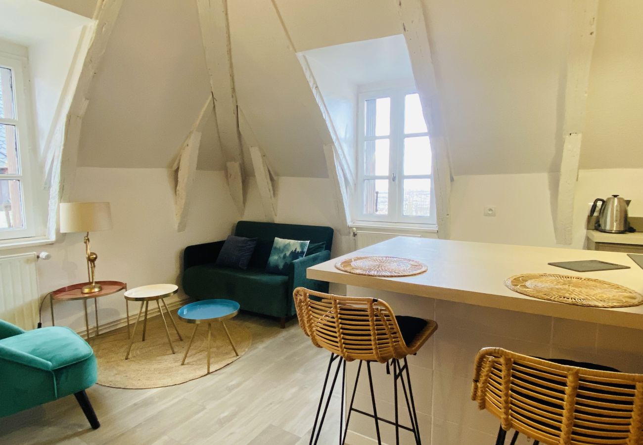 Apartment in Rodez - LE NID