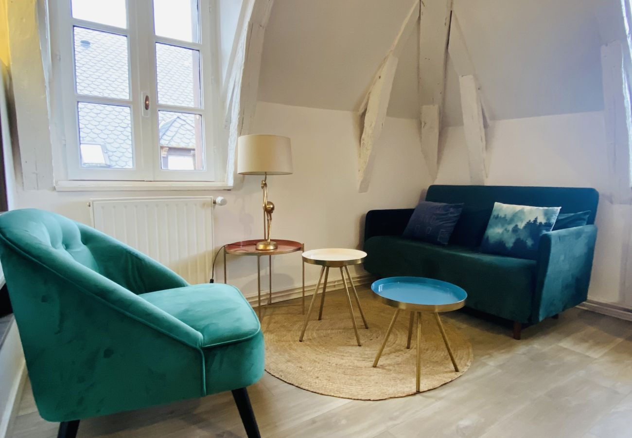 Apartment in Rodez - LE NID