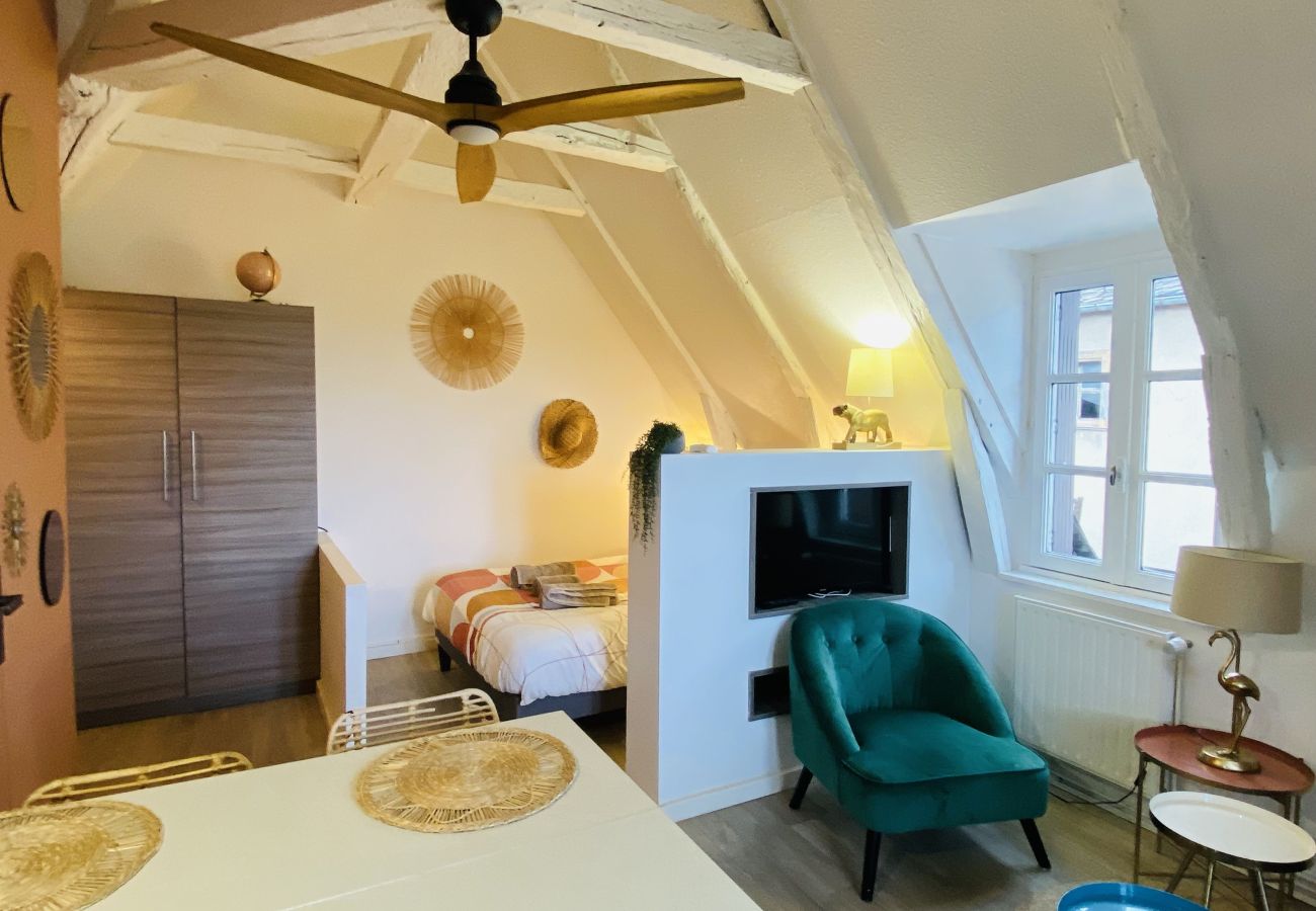 Apartment in Rodez - LE NID