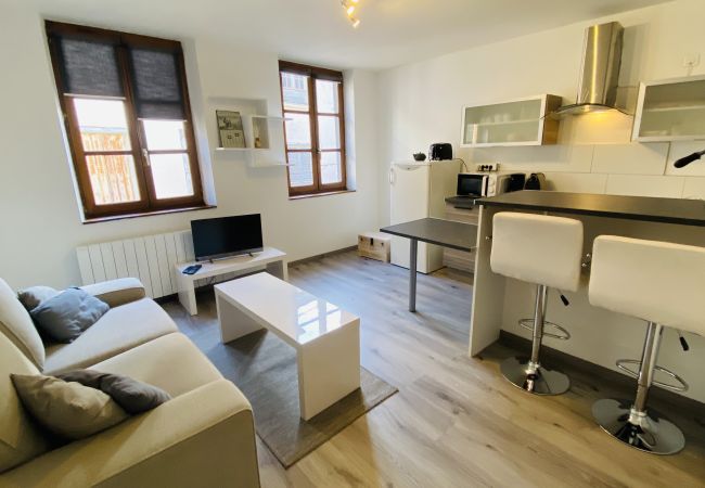Rodez - Appartement
