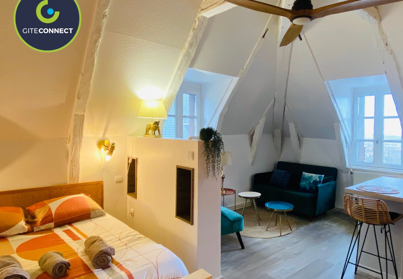 Appartement à Rodez - LE NID